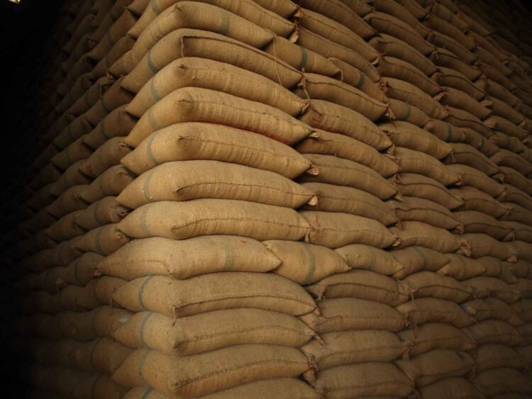 Stok Melimpah, Kenapa Harga Beras Masih Tinggi?
