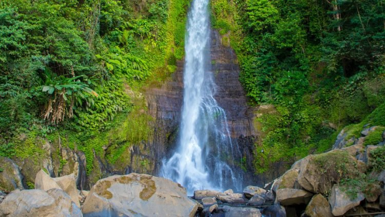 Air Terjun Kembar Gitgit Bali Utara, Destinasi Wisata Alam Eksotis yang Cocok untuk Healing