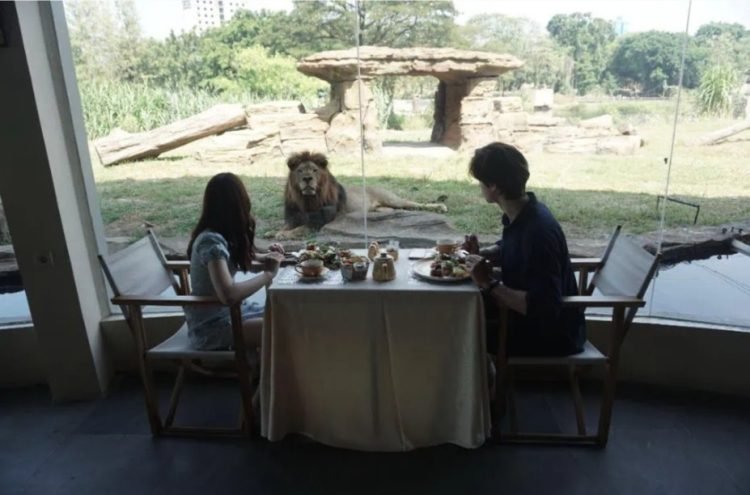 Solo Safari Hadirkan Pengalaman Melihat Satwa dan Wahana Seru untuk Keluarga