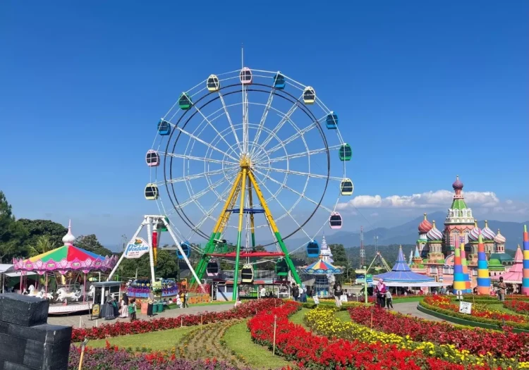 Menjelajah Taman Bunga Celosia Semarang, Destinasi Instagramable Berlatar Gunung Ungaran